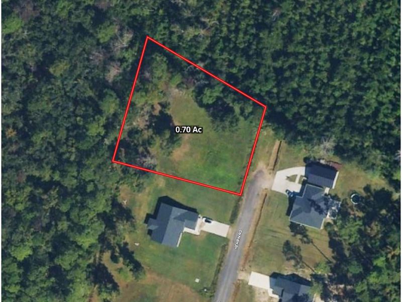 .70 Ac Cleared Building Lot on Her : Woodbine : Camden County : Georgia