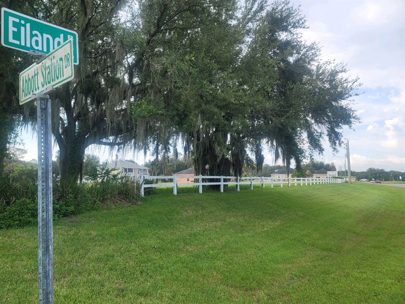 1.16 Acre Zoned Commercial General : Zephyrhills : Pasco County : Florida