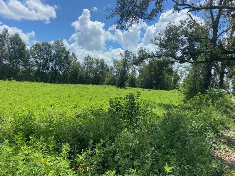 Six Acres in Lee : Lee : Madison County : Florida