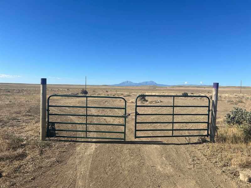 Lot 48 Colorado Buffalo Ranch, Rye : Rye : Huerfano County : Colorado