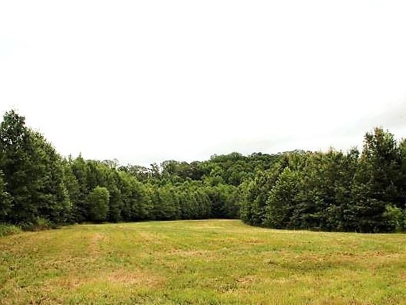 209 Acres in Carroll County in Gree : Greenwood : Carroll County : Mississippi