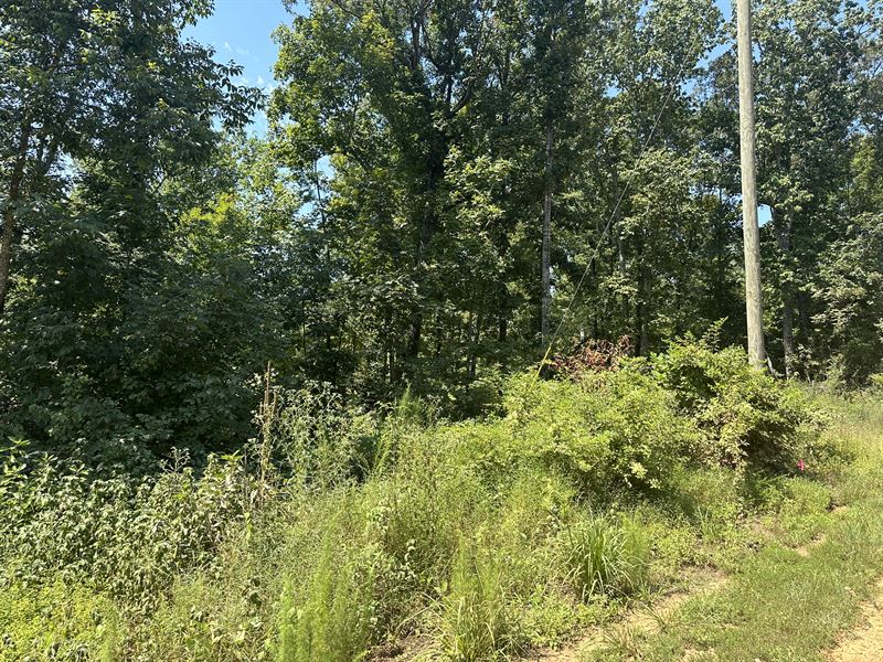 5.5 Ac Wooded Land for Sale : Morris Chapel : Hardin County : Tennessee