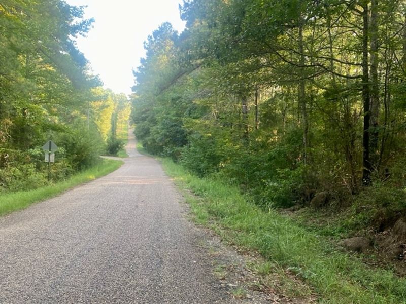 40.72 Acres, Hulon Brister Rd, Jaye : Jayess : Lawrence County : Mississippi