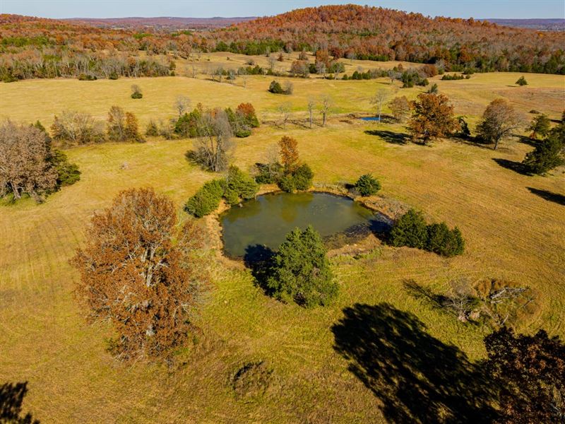 320 Acres, Pasture, Ponds, Wood : Franklin : Izard County : Arkansas