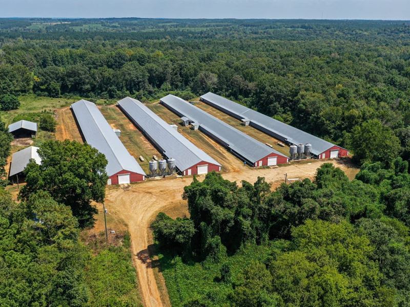 Decatur Broiler Farm : Decatur : Newton County : Mississippi