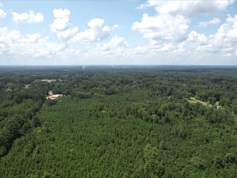 34.8 Acres in Hinds County in Jacks : Jackson : Hinds County : Mississippi