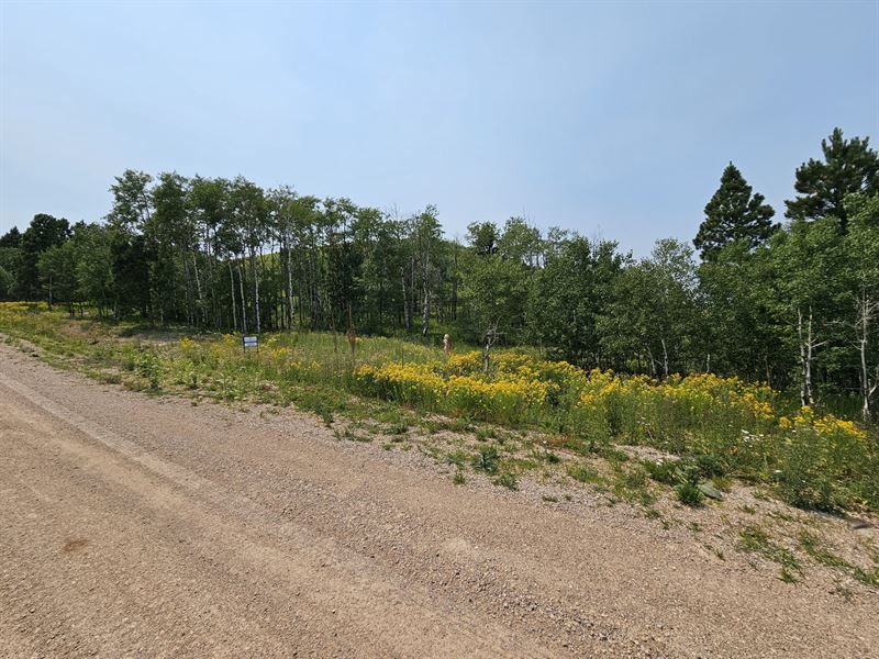 Majestic Heights Road, Lot 15 : Sturgis : Lawrence County : South Dakota