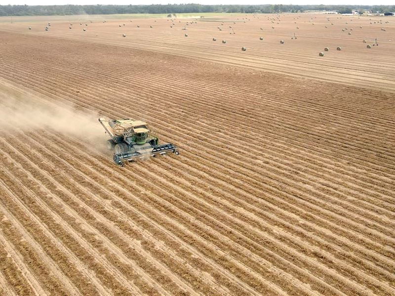 Irrigated Farm Land & Loblolly Pine : Marianna : Jackson County : Florida