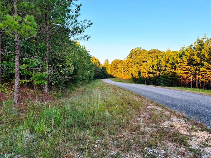 Freedom Hills Tract : Cherokee : Colbert County : Alabama