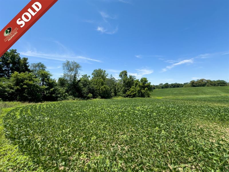 Trapp Lane Parcel 2, 15 Acres, Mu : Hopewell : Muskingum County : Ohio