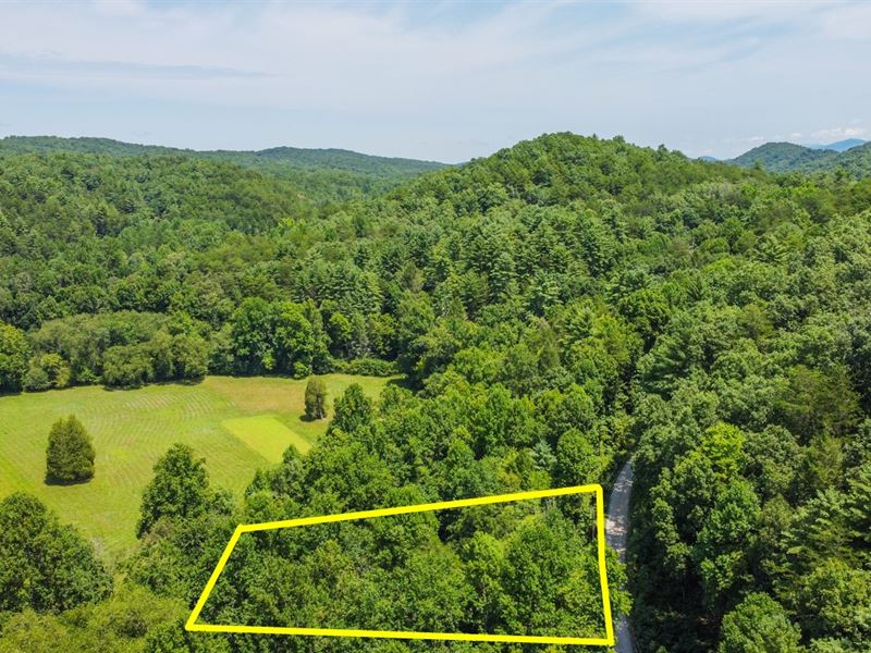 Wooded 1.7 Acres Lot with Privacy : Tellico Plains : Monroe County : Tennessee