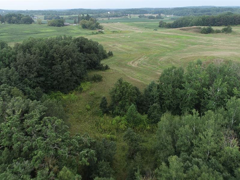 80 Acres Polk County, WI : Saint Croix Falls : Polk County : Wisconsin