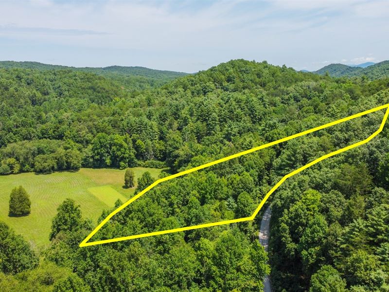 Beautiful Large Wooded 2.30 Ac Lot : Tellico Plains : Monroe County : Tennessee