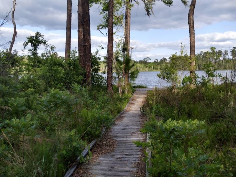 .43 Ac Vacant Land, Putnam County : Interlachen : Putnam County : Florida