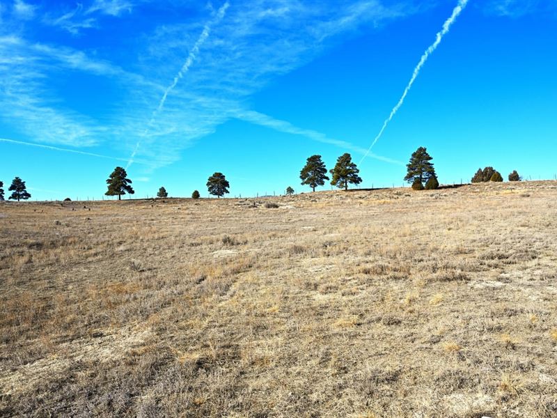 Chama West Land : Chama : Rio Arriba County : New Mexico