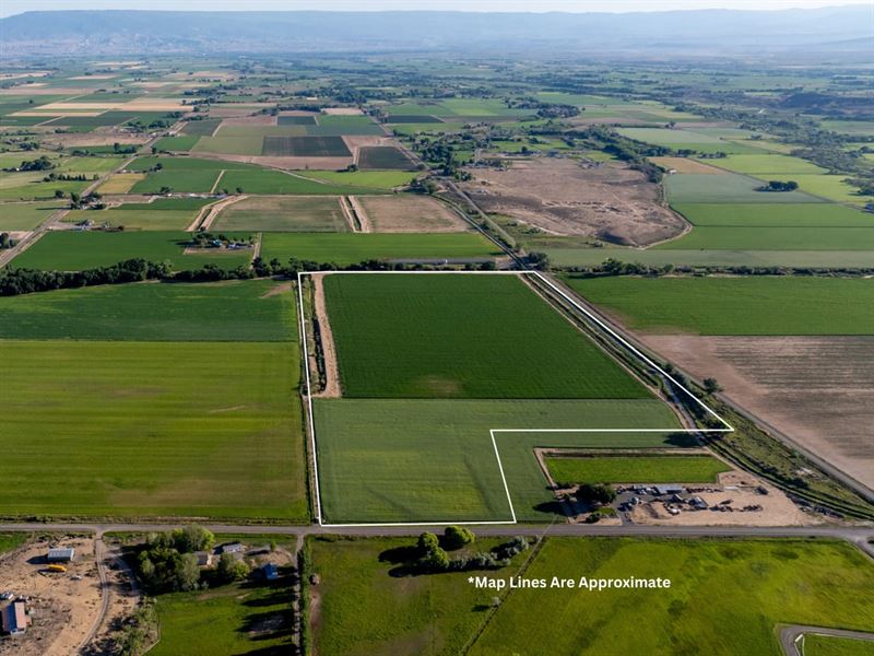 Hickory Road Olathe Farm Land : Olathe : Montrose County : Colorado