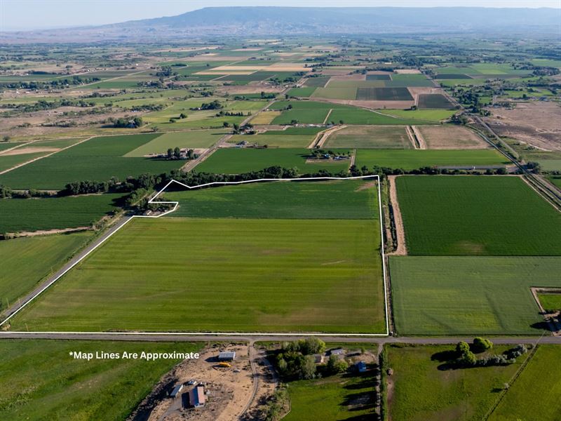 Olathe Irrigated Farm Land for Sale : Olathe : Montrose County : Colorado