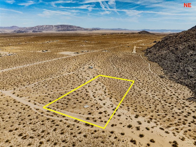 Desert Dream Lot for $1,317.24 Down : Landers : San Bernardino County : California