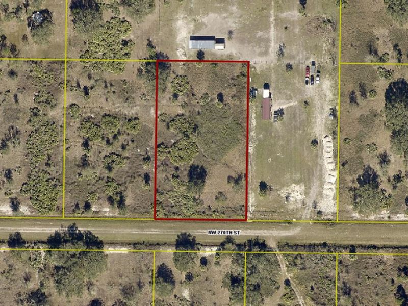 1.25 Ac Homestead & Mobile Friendly : Okeechobee : Okeechobee County : Florida