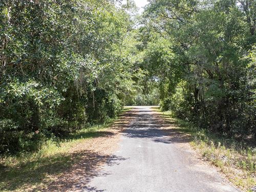 Prime Opportunity Alert, Land in FL : Ocklawaha : Marion County : Florida