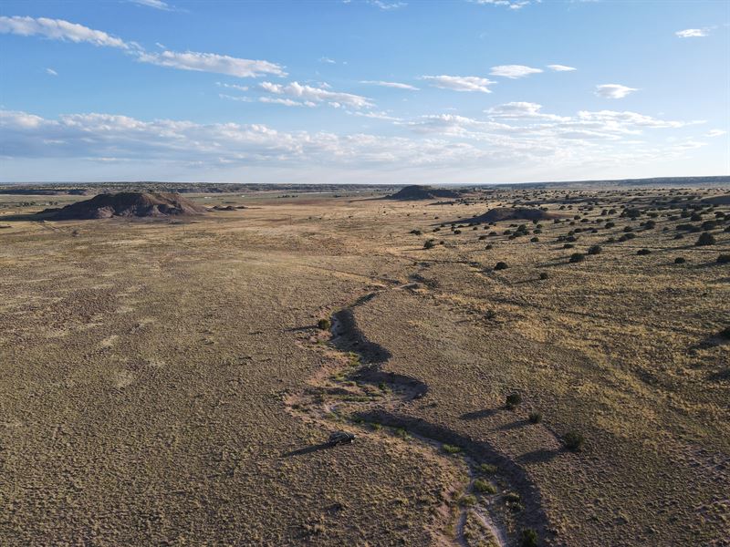 Discover Your Wide Open Paradise : Sanders : Apache County : Arizona