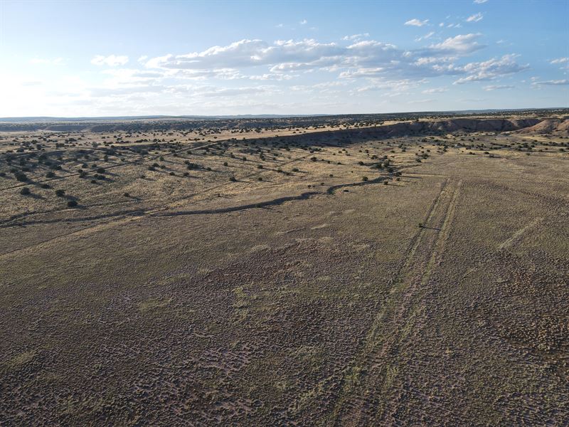 4 Acre Wide Open Space : Sanders : Apache County : Arizona