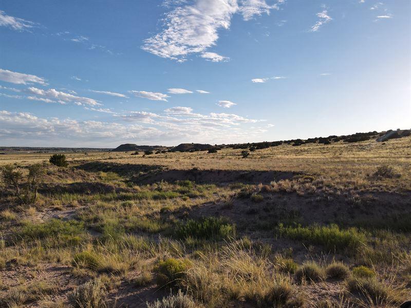 Land for Nature Lovers : Sanders : Apache County : Arizona