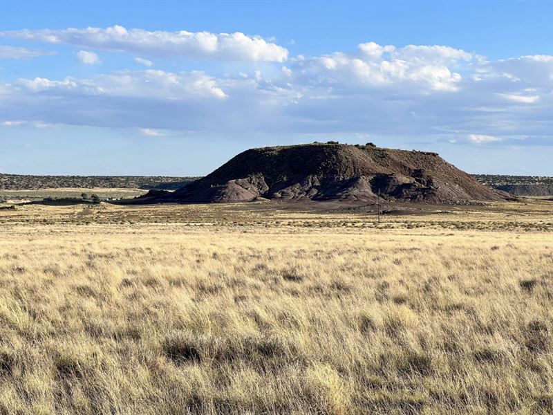 Land with Wide Open Space : Sanders : Apache County : Arizona