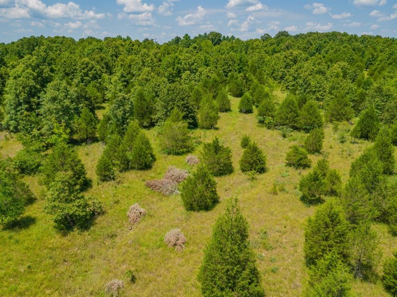 Sharp County, 35 : Hardy : Sharp County : Arkansas