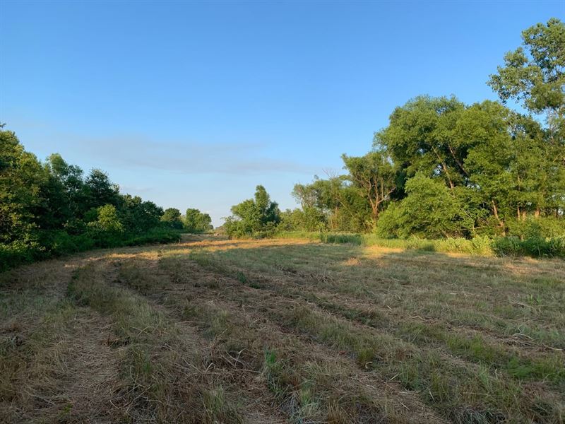 8 Acres for Sale in Stoddard Co : Dudley : Stoddard County : Missouri