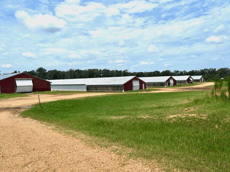 MS Poultry Broiler Farm 10 House Tu : Summit : Amite County : Mississippi