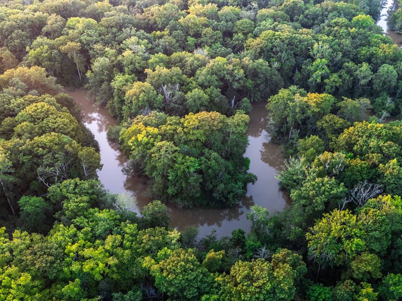 Cache River 438 : McCrory : Woodruff County : Arkansas