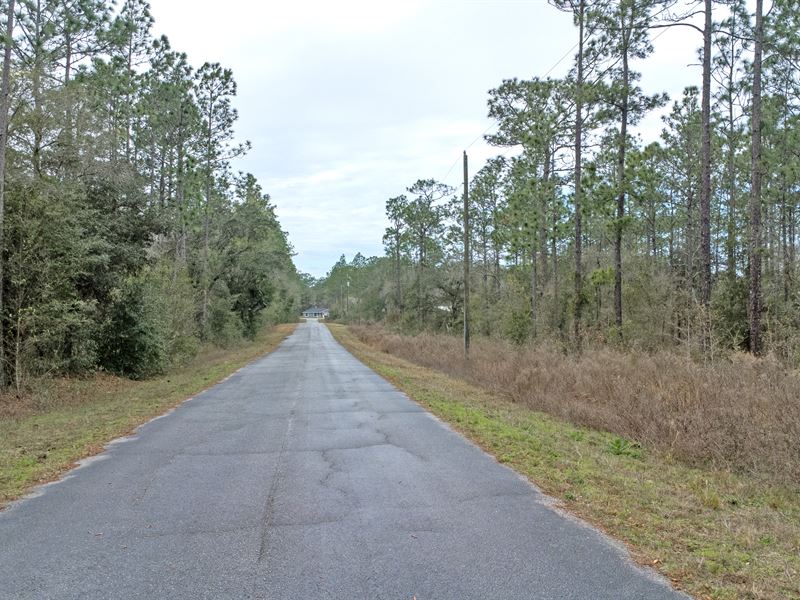 Unmatched Land for A Residence : Ocala : Marion County : Florida