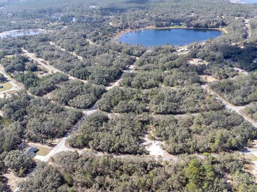 Ideal Land Surrounded By Nature : Silver Springs Shores : Marion County : Florida