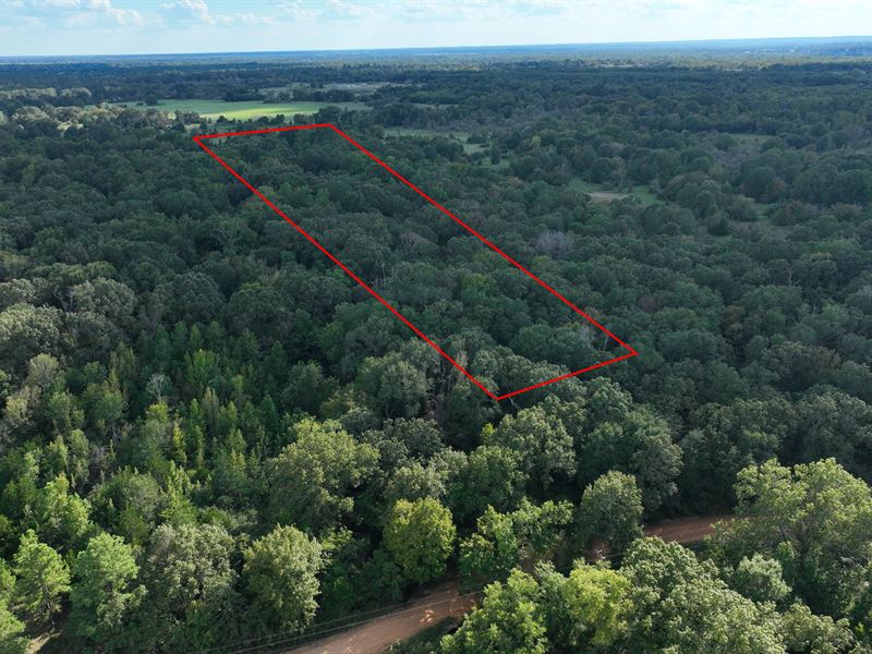 14.69 Acres in Houston County : Grapeland : Houston County : Texas