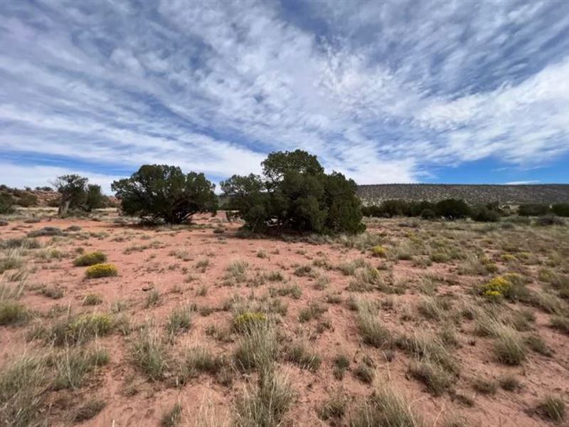 1.21 Ac Living & Hustling, $275/Mo : Snowflake : Navajo County : Arizona