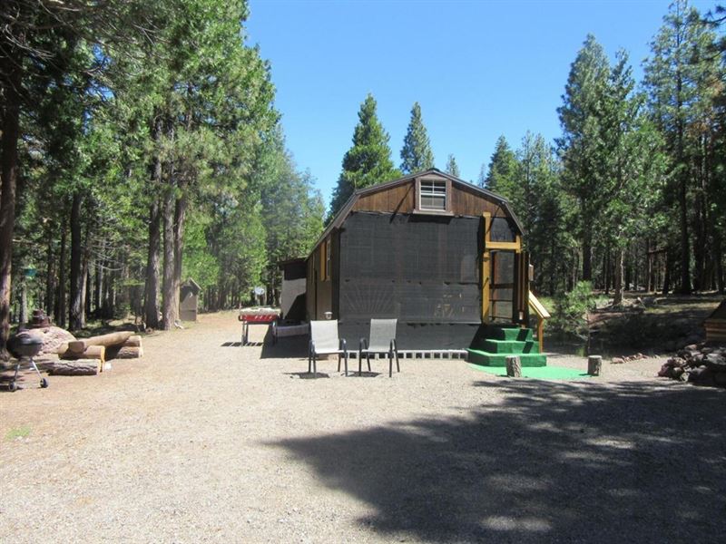 Park Like Forest Paradise : Bonanza : Klamath County : Oregon