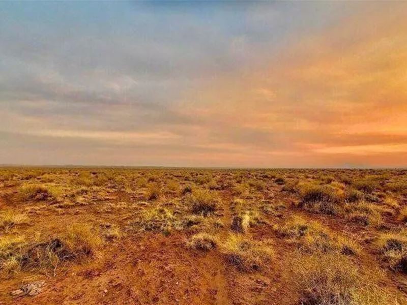 Score Big with 1.12 Acres, $275/Mo : Snowflake : Navajo County : Arizona