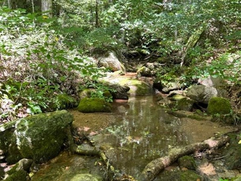 9 Acres, Strong Mountain Stream : Independence : Grayson County : Virginia