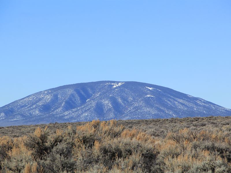 $249 Down, Costilla County Steal : Mesita : Costilla County : Colorado