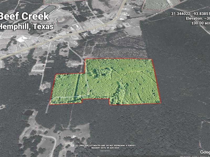 Beef Creek T-1 : Hemphill : Sabine County : Texas