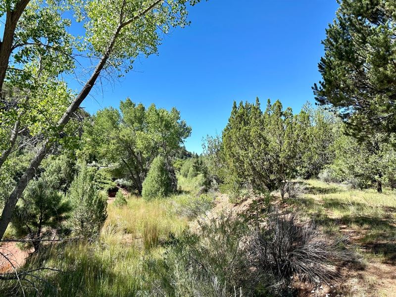 7.83 Acres in Glorieta, New Mexico : Glorieta : Santa Fe County : New Mexico