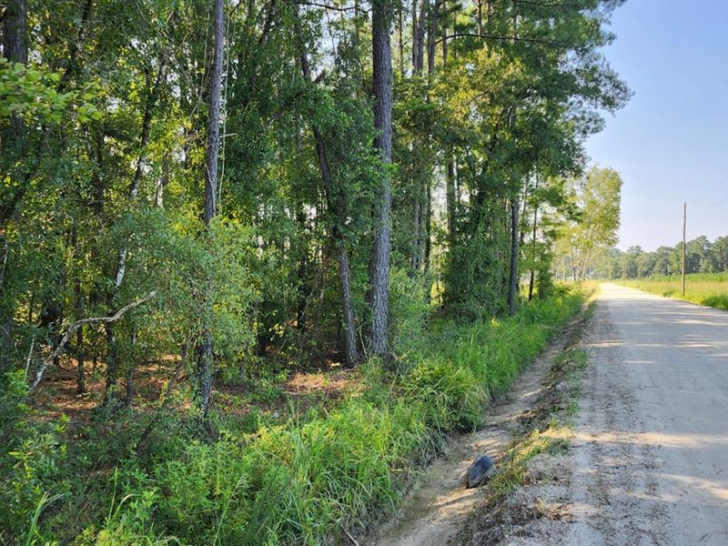 2 Acre Residential Land in Camde : Waverly : Camden County : Georgia