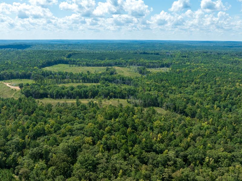 Beaver Sign Tract Hunting & Timber, Land for Sale in Georgia, #382868 ...