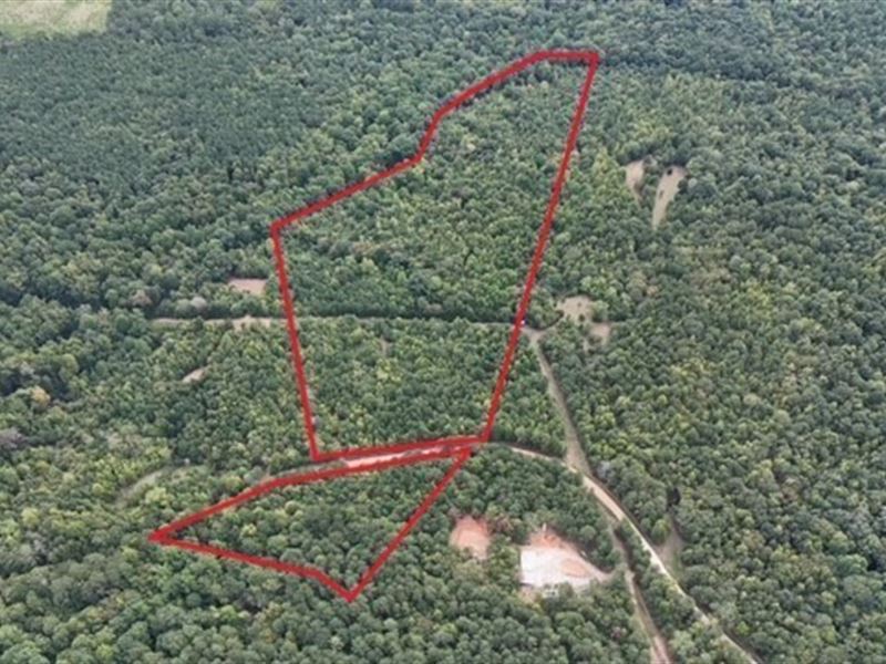 25 Ac for Sale in Oglethorpe County : Stephens : Oglethorpe County : Georgia