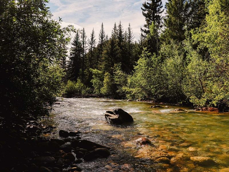 Geneva Creek Retreat : Grant : Park County : Colorado