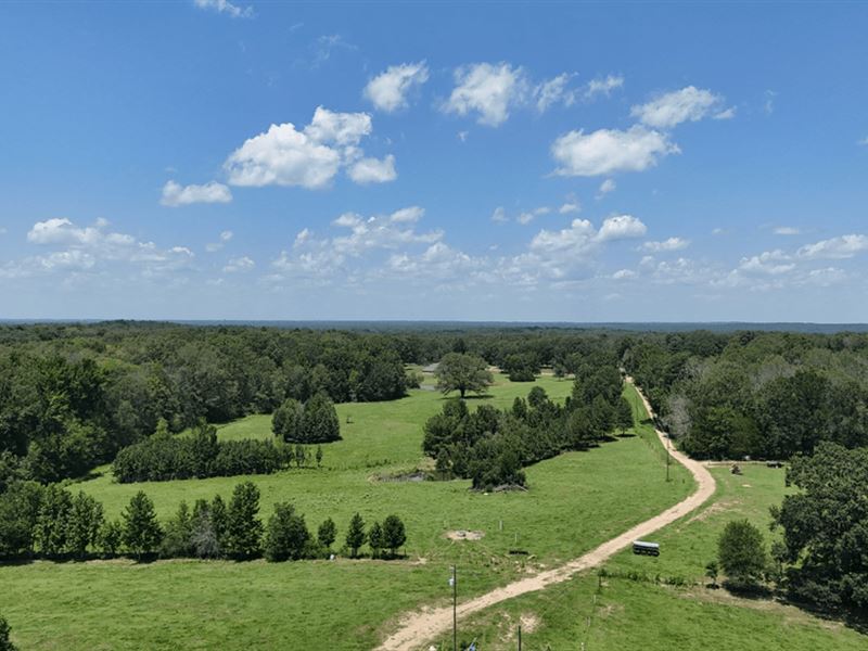 194 Acre Hunting, Homesite, and Pas : Raymond : Hinds County : Mississippi