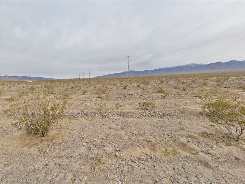 Scenic Area Lot for $360.54 Down : Pahrump : Nye County : Nevada