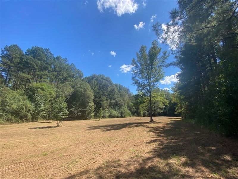 75 Acres, Mature Timber, Salem Scho : Tylertown : Walthall County : Mississippi