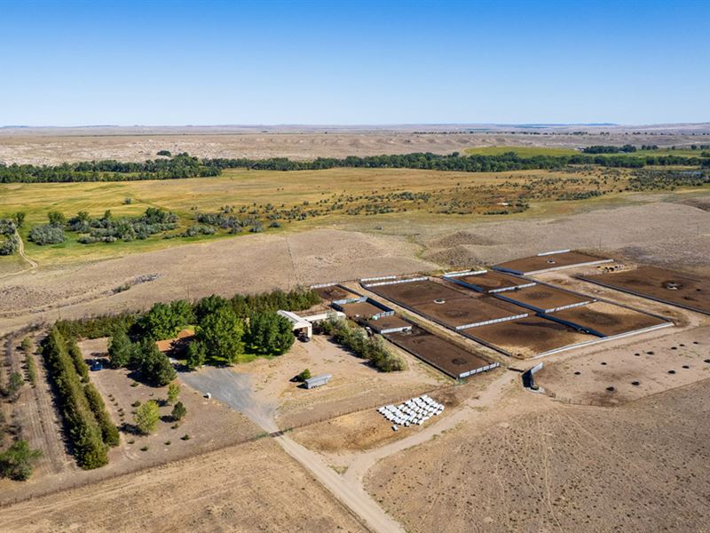 Bluffview Feedlot : Wheatland : Platte County : Wyoming